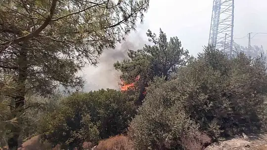 Datça'daki orman yangınına havadan ve karadan müdahale sürüyor