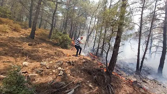 Datça'daki orman yangınına kolluk kuvvetleri de müdahale etti