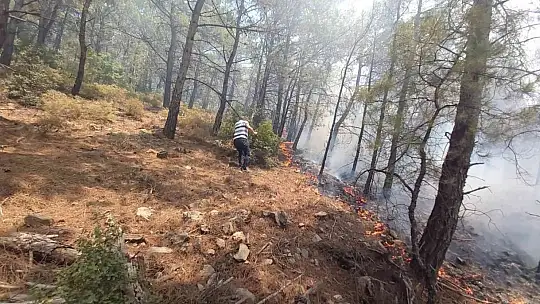 Datça'daki orman yangınına kolluk kuvvetleri de müdahale etti