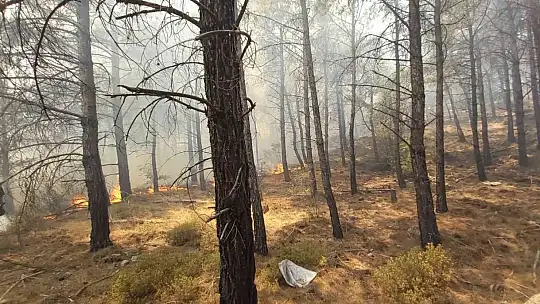 Datça'daki orman yangınına kolluk kuvvetleri de müdahale etti