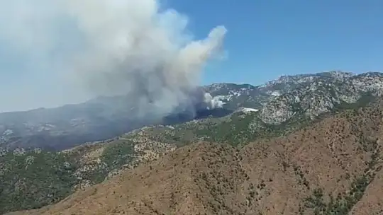 Datça'daki orman yangınına kolluk kuvvetleri de müdahale etti