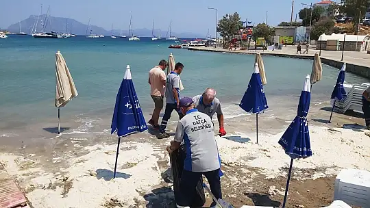 Datça sahilinde tedirgin eden görüntü