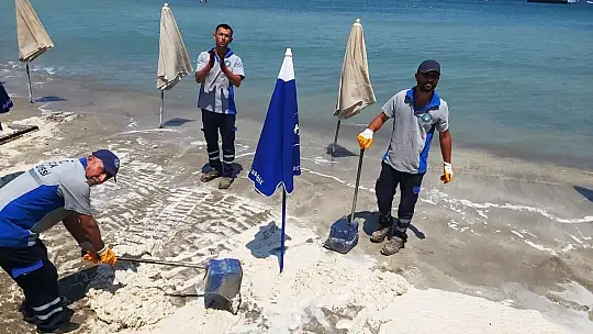 Datça sahilinde tedirgin eden görüntü