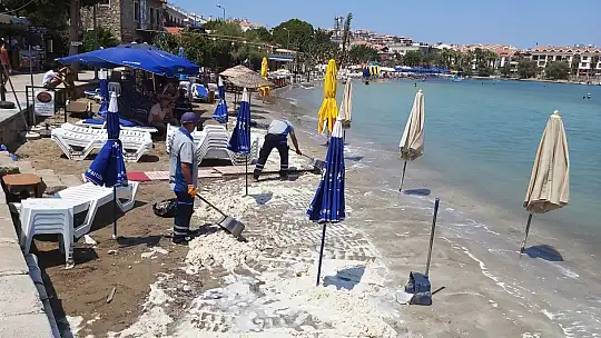 Datça sahilinde tedirgin eden görüntü