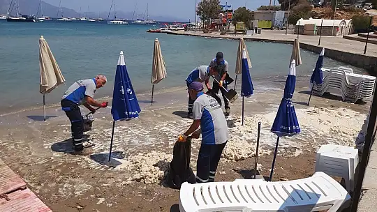 Datça sahilinde tedirgin eden görüntü