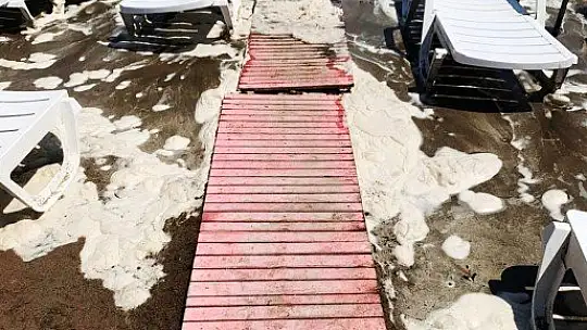 Datça sahilinde tedirgin eden görüntü