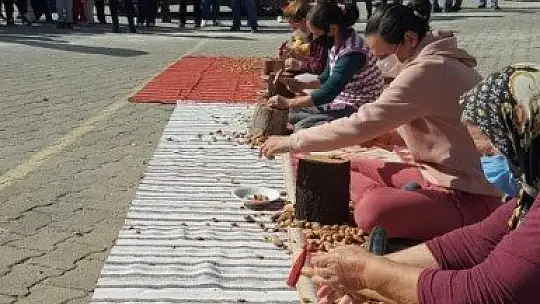 Datçalılar 'Badem Çiçeği Festivali' kapsamında birbirleri ile yarıştı