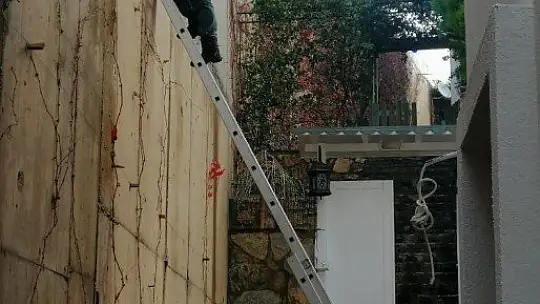 Demire saplanan kediyi kurtarmak için seferber oldular