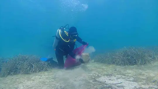 Deniz'in dibinden 2 saate 192 kilogram çöp çıktı