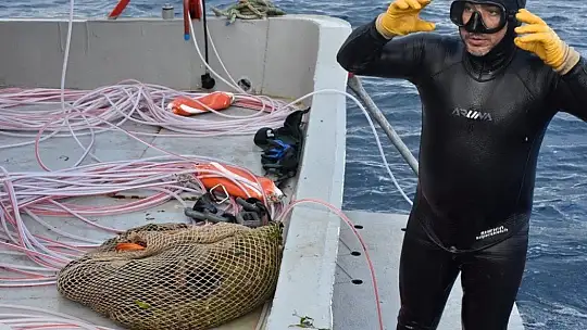 Deniz patlıcanında kota 40 kilo