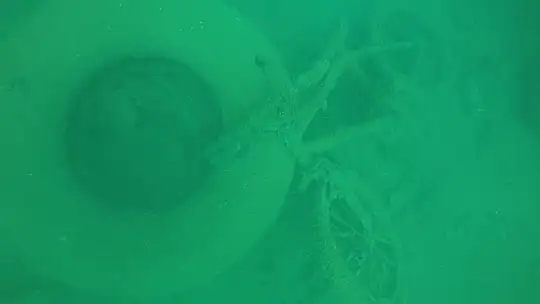 Denizden bisiklet çıktı, dalgıçlar şaşırdı