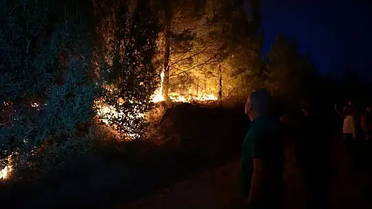 Denizli - Muğla sınırında dün öğlen başlayan yangın kontrol altına alındı