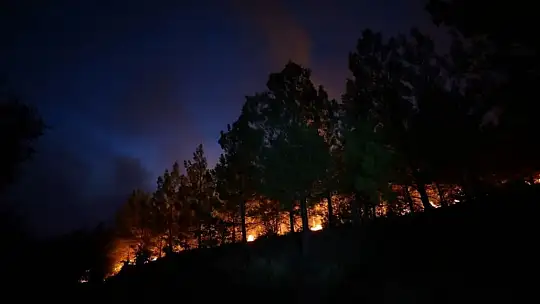 Denizli - Muğla sınırında dün öğlen başlayan yangın kontrol altına alındı
