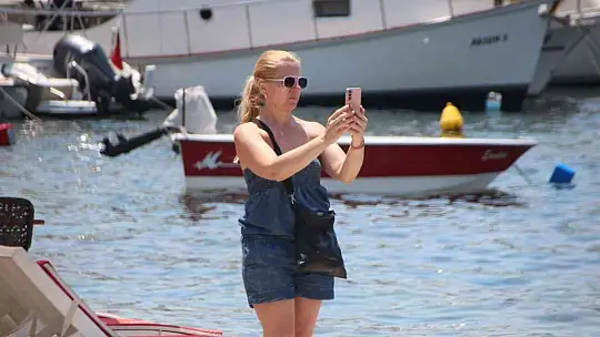 Dev gemi bin 411 yolcusuyla Bodrum'a geldi