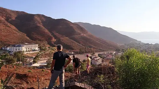 Diktikleri fidanları her gün kontrol edip suluyorlar