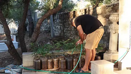 Diktikleri fidanları her gün kontrol edip suluyorlar