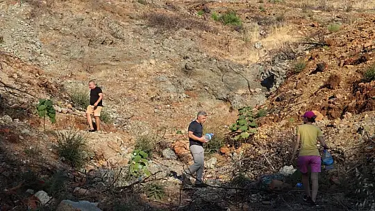 Diktikleri fidanları her gün kontrol edip suluyorlar