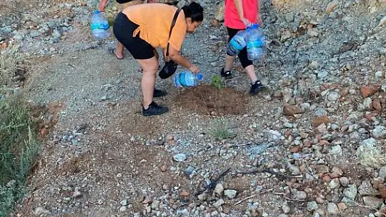Diktikleri fidanları her gün kontrol edip suluyorlar