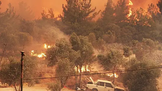 Dizi çekimlerinin yapıldığı turistik Çökertme Mahallesi alevlere teslim oldu