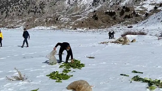 Yaban hayatına destek verdiler