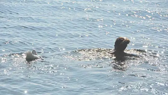 DOĞUDA KIŞ, BATIDA DENİZ KEYFİ