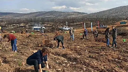 Doktor adayları fidan dikti