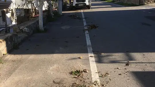 Sokağım Temiz Bodrum Temiz