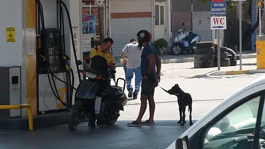 MOTORİNE BÜYÜK İNDİRİM BEKLENİYOR!