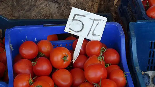 VATANDAŞIN TERCİHİ ÜRETİCİ PAZARI