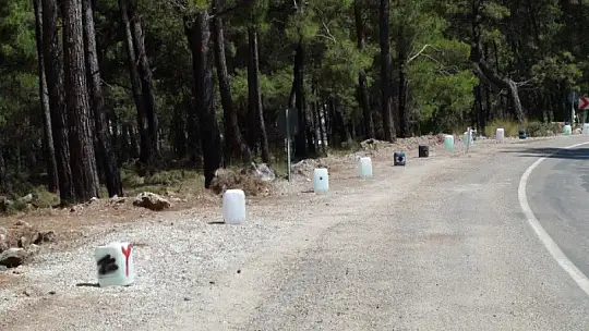 Doğu, 'birlik ve beraberlik duygusu ile mücadele edildi'