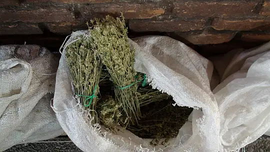 AKTAR TOPÇU,'KIŞ ÇAYLARINA YOĞUN BİR TALEP VAR'