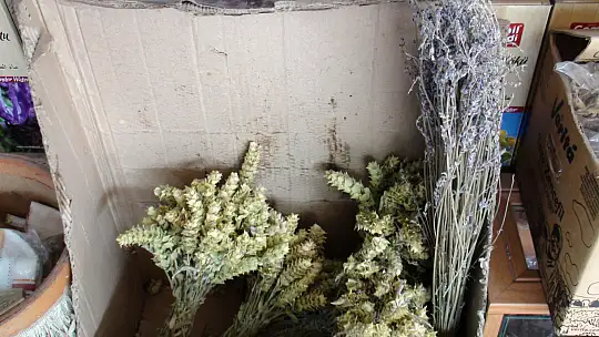 AKTAR TOPÇU,'KIŞ ÇAYLARINA YOĞUN BİR TALEP VAR'