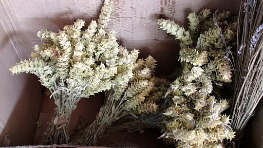 AKTAR TOPÇU,'KIŞ ÇAYLARINA YOĞUN BİR TALEP VAR'