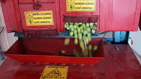 BU SENENİN İNCİSİ SİYAH ZEYTİN