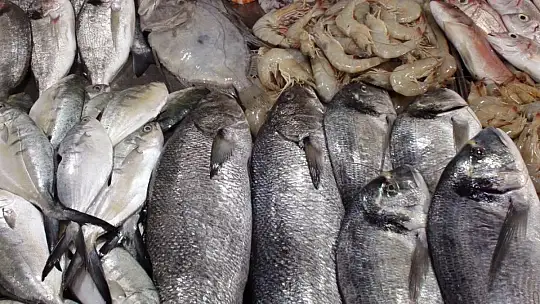 TROL AVI AÇILDI ÇEŞİT ARTTI