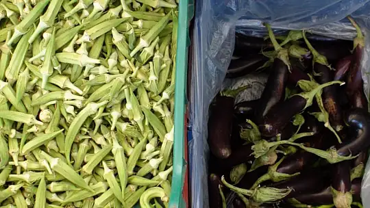 ÜRETİCİ PAZARI TIKLIM TIKLIM