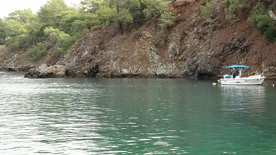 DÜNYA BALIKÇILIK GÜNÜ'NDE 30 BİN YAVRU ÇUPRA DENİZLE BULUŞTU