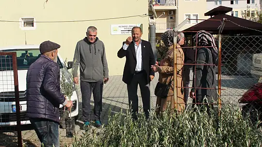 BAŞKAN KARAYİĞİT, 'ZEYTİN FİDANLARI GELDİ'