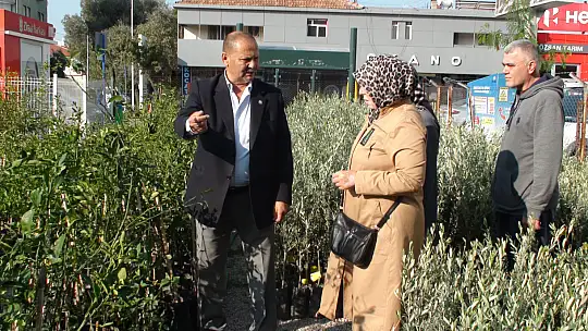 BAŞKAN KARAYİĞİT, 'ZEYTİN FİDANLARI GELDİ'