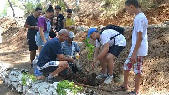 Büyük Samanlık Plajı'nda Ağaç Dikim Etkinliği
