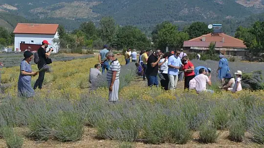 Fethiye'nin Koku Vadisi'nde İlk Hasat