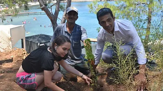 Büyük Samanlık Plajı'nda Ağaç Dikim Etkinliği