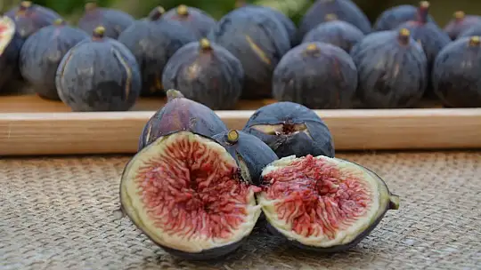 FTSO girişimiyle Fethiye kaya inciri coğrafi işaret aldı