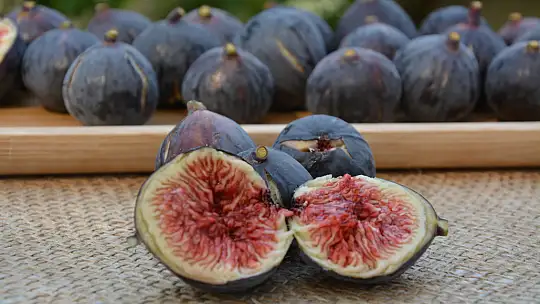 MAVİ GRUP BAŞKAN ADAYI OSMAN ÇIRALI YENİ PROJELERİNİ AÇIKLADI