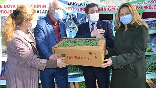 Fethiye'de Endemik Bitkiler Müzesi kurulacak 