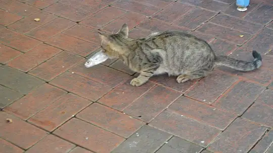 Fethiye'de tezgahlar şenlenecek, fiyatlar düşecek