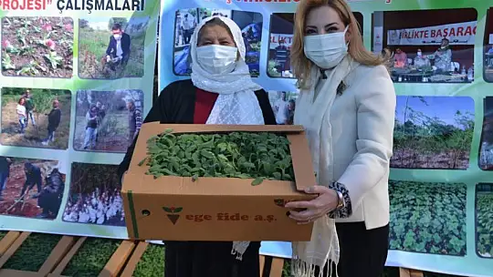 Fethiye'de Endemik Bitkiler Müzesi kurulacak 