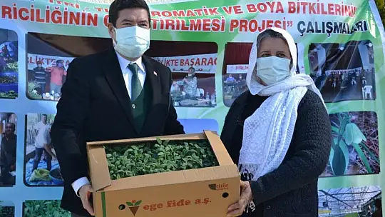 Fethiye'de Endemik Bitkiler Müzesi kurulacak 