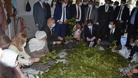 Fethiye'de Endemik Bitkiler Müzesi kurulacak 