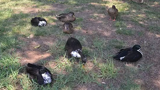 AKDENİZ'İN KIYISINDA BİR İNCİ, GÜNLÜKLÜ THE BAY BEACH